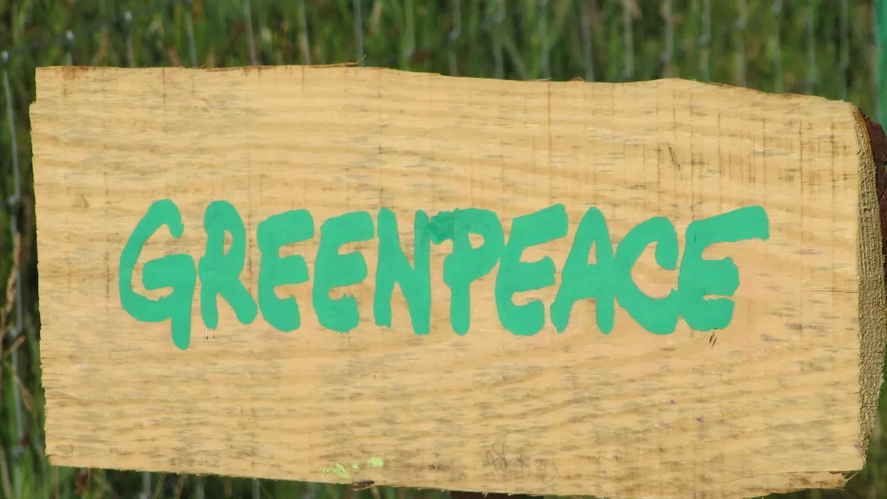 Greenpeace-ի բնապահպան ակտիվիստուհին Երևանում COP17-ի ժամանակ քննադատել է երկրների որդեգրած մոտեցումները