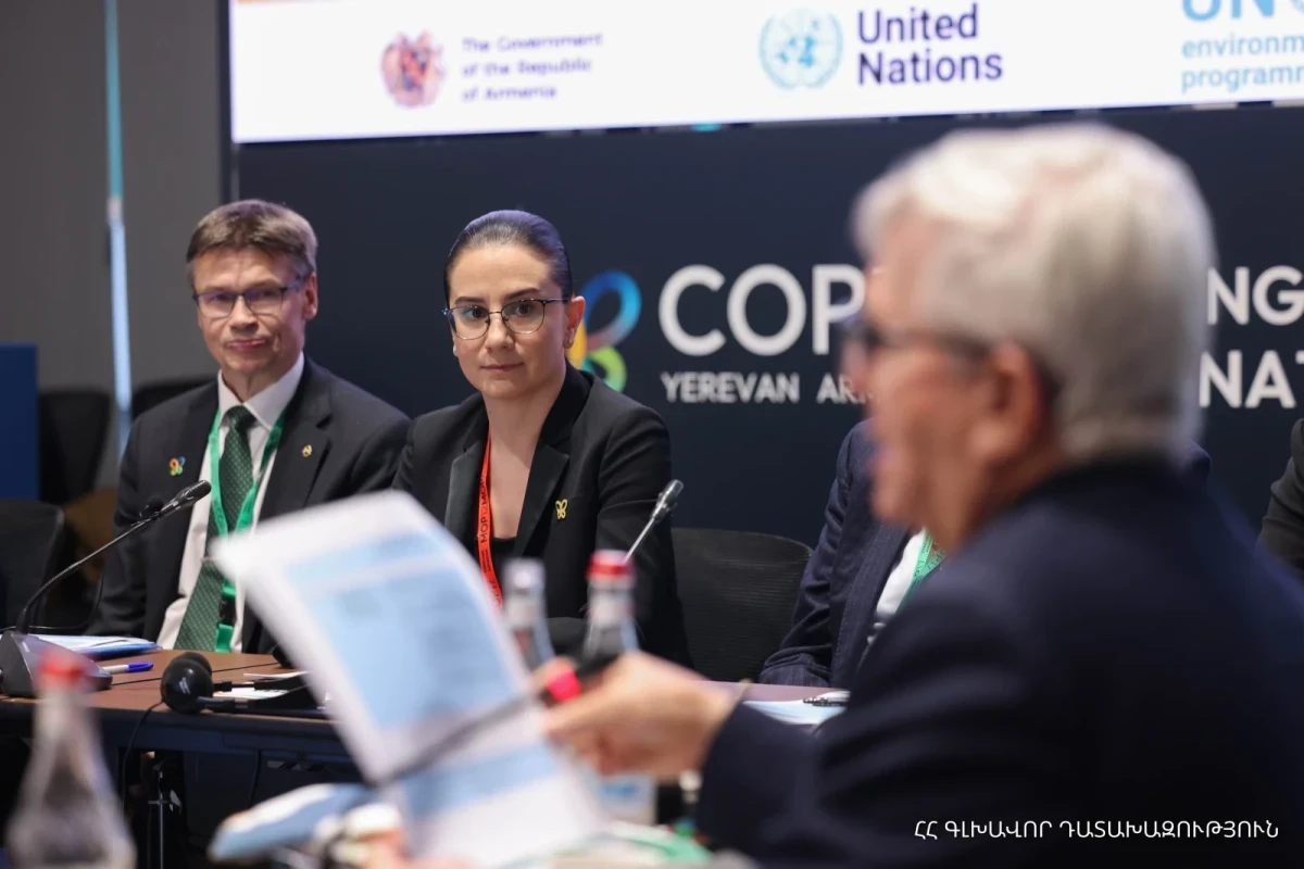 Բնության հատուկ պահպանվող, այդ թվում՝ կանաչ տարածքները, չեն կարող հանդիսանալ մասնավոր սեփականություն. Գլխավոր դատախազ