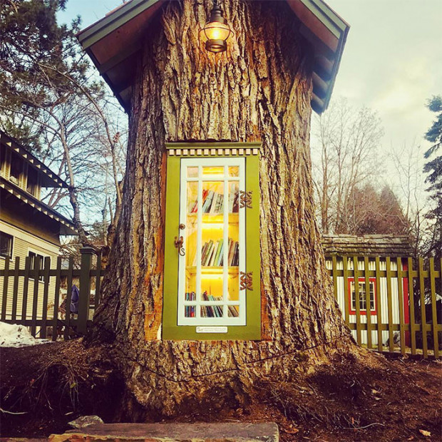 Image result for Библиотекарша спасла 110-летнее дерево, превратив его в книжное чудо
